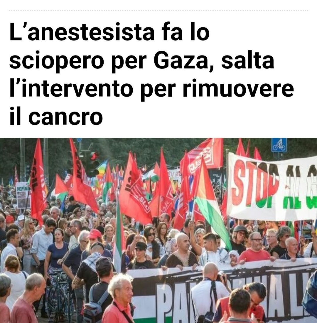 Donatella Chiodi tweet media
