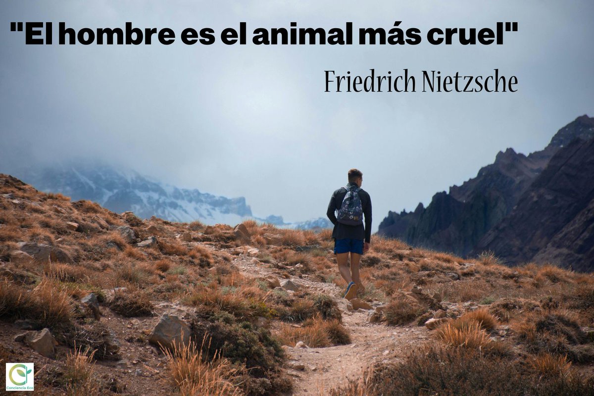 concienciaeco's tweet image. Una #reflexión para cada día:
&quot;El hombre es el animal más cruel&quot;
#FriedrichNietzsche
#medioambiente #hombre #serhumano #crueldad #mente #conciencia #filosofía #psicología #frasescélebres #percepción #vida #creencia #perspectiva #alma #espíritu #ser #esencia