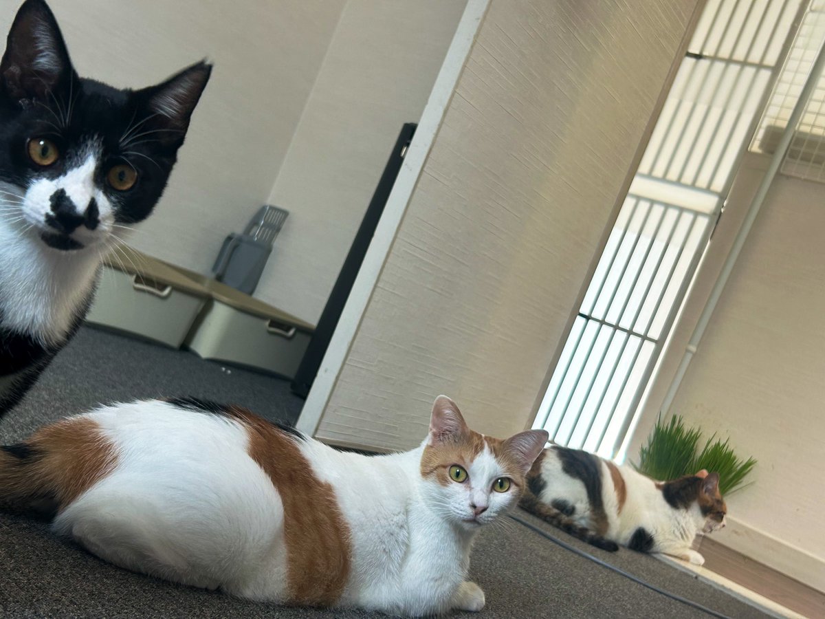 みんな元気です