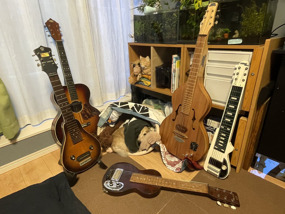 n_uma's tweet photo. 気がついたらまたラップスティールギターをゲットしてた。
その名も「美声」。出品者さんによると60年代製らしいが…
このままだと「ラップスティールギター集めおじさん」になってしまう。 https://t.co/x4hkHRtJVa