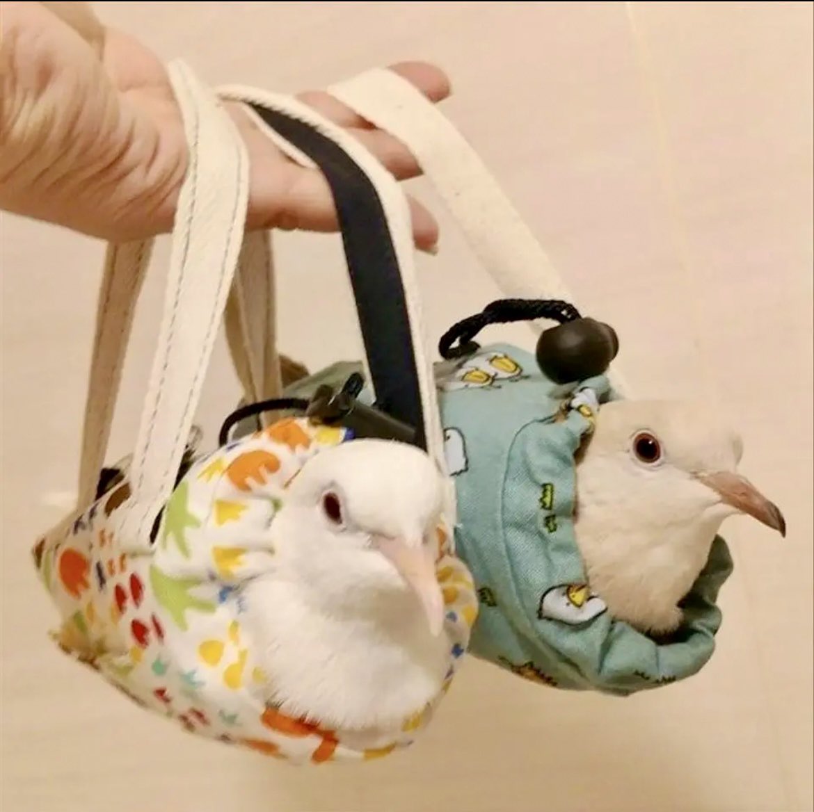 足が出せるタイプの #鳩袋 は足のケアする時に便利だよ😆