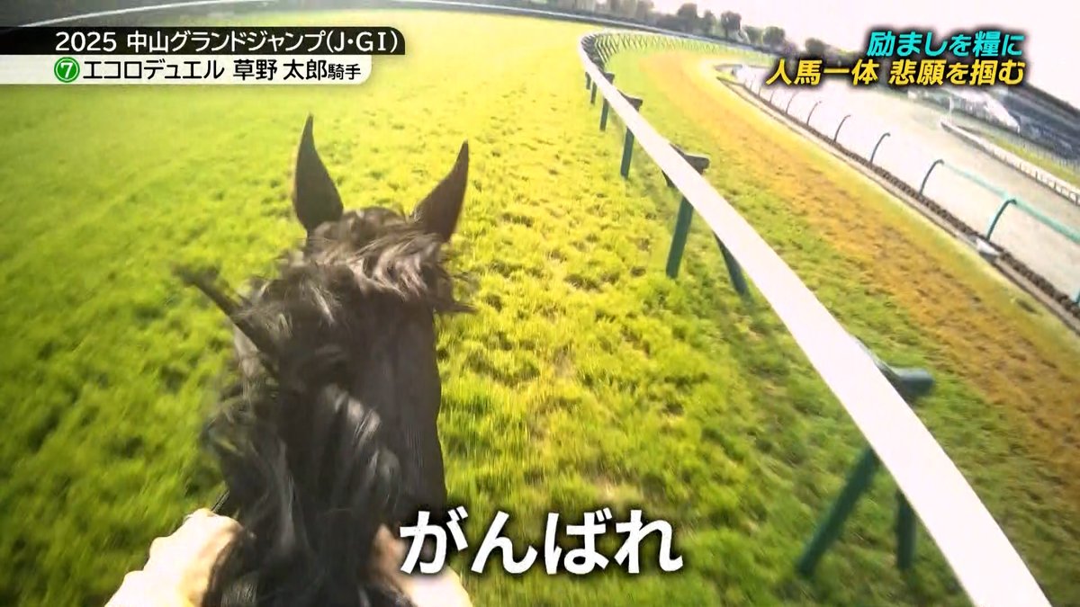 今村聖奈記念馬券セット　フェステスバント 今村聖奈記念馬券セット フェステスバント - メルカリ