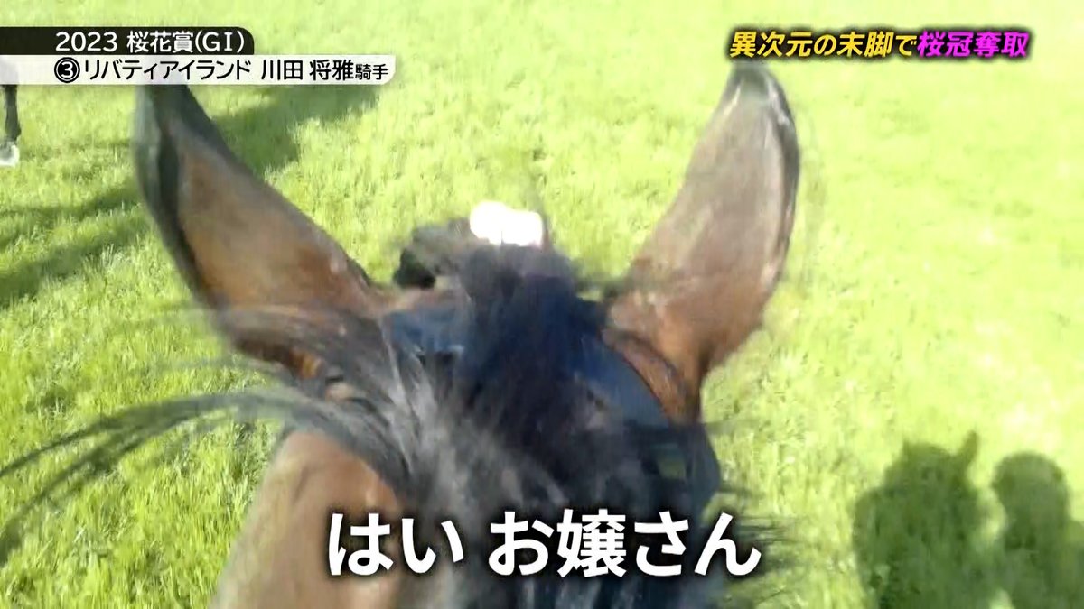 JRA_Special's tweet image. 🎥ジョッキーカメラ名場面集🏇
2023年の桜花賞から導入されたジョッキーカメラ。
2025年9月時点で、動画の総数はなんと150本以上😳‼️
その中から、皆さまからの支持を集めた名場面をまとめました!
カメラが収めた人馬のドラマの数々をご覧ください✨
👇動画はこちら
youtu.be/JY_HuWndrFY
