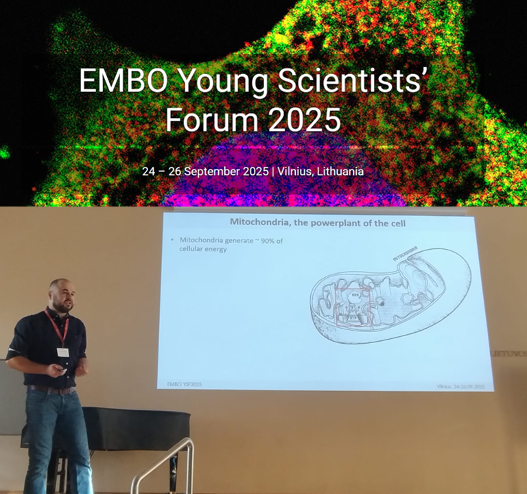 MRSzymanskiLab's tweet photo. Excited to speak at the EMBO Young Scientists’ Forum in Vilnius. Inspiring discussions and great energy from future science leaders! #EYSF #EMBO #Science #StructuralBiology #DNA https://t.co/GI07Cbir7A