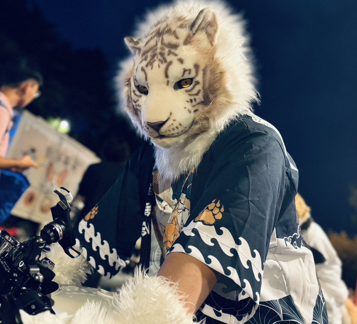 UminekoFursuit's tweet image. “Hop on! I’ll give you a ride.”
📸:淚熐
#TigerThursday #Ardu #Barquero #冥海