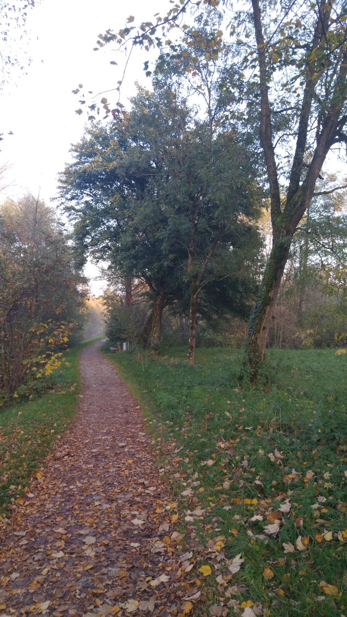 Herbstbeginn. Herbstwetter.Handyfoto .LG H 815