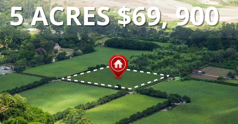 WattsAngeas's tweet photo. Your Texas escape awaits: 5 acres at $69,900 🌵
Sept 27 • Low supply • Book today while availability lasts.