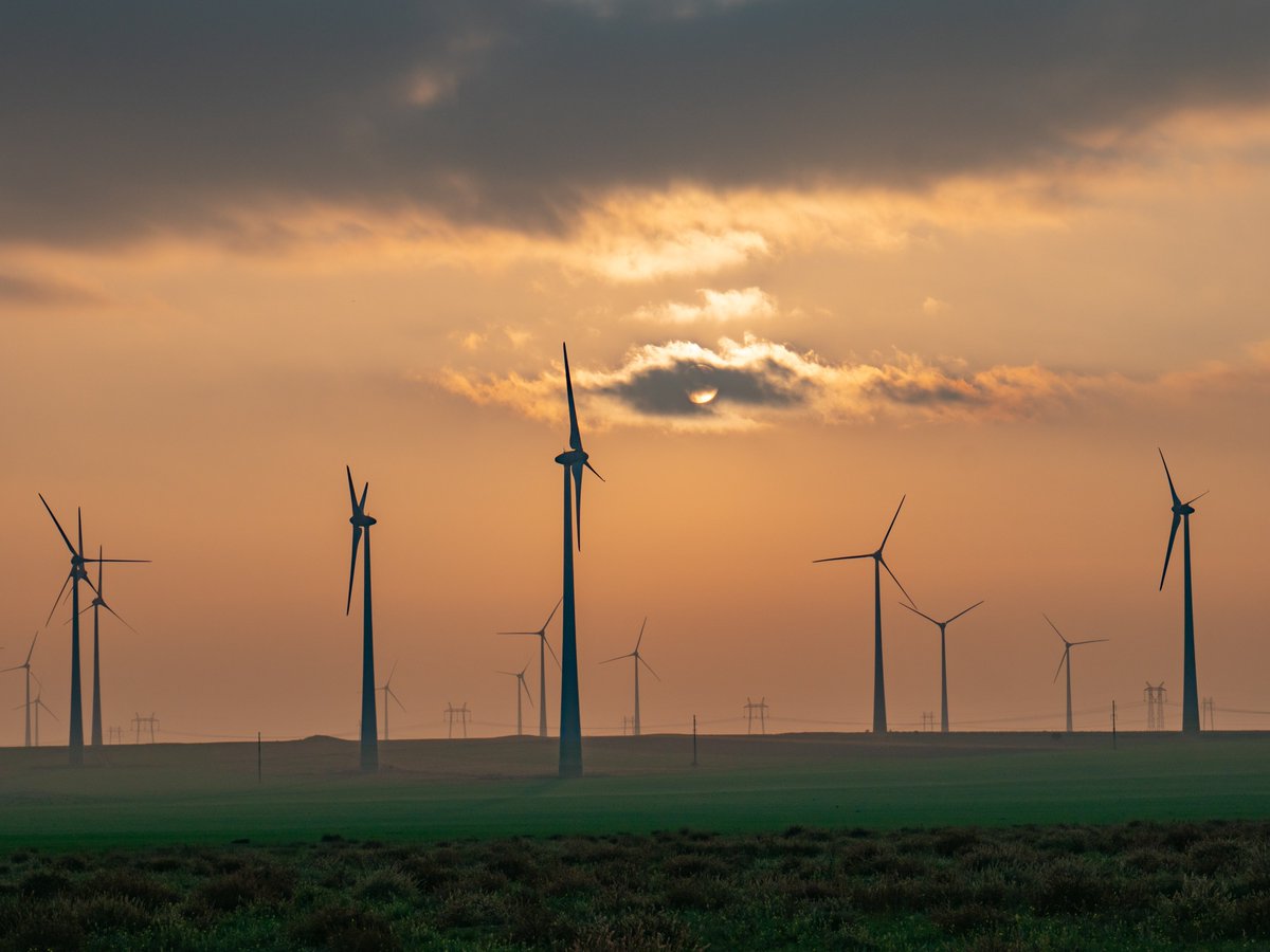 Wendy Project tweet media