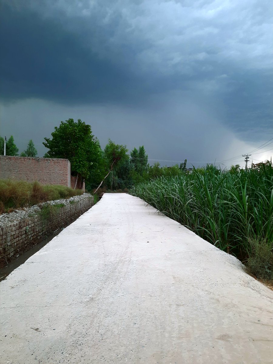 strangerJehan's tweet image. Rainy day 
#villagevibes