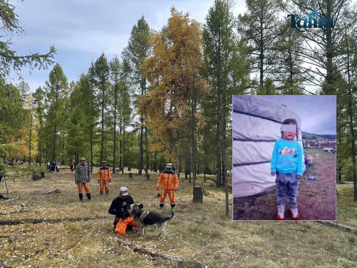 Хэдэн үнэрч нохой, сүртэй багж хэрэгсэл, хичнээн хүн хайж самнаал байсан хажууханд нь байхад олохгүй😭 байсаар хүү хорвоог орхижээ ямар их айж, өлсөж цангаж зовсон бол эвий минь🙏🙏🙏