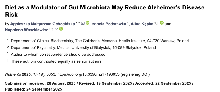 ¿Sabías que lo que comes podría influir en tu riesgo de desarrollar Alzheimer?

Un nuevo review muestra cómo la dieta modula la microbiota intestinal y, con ello, la salud del cerebro. 👇