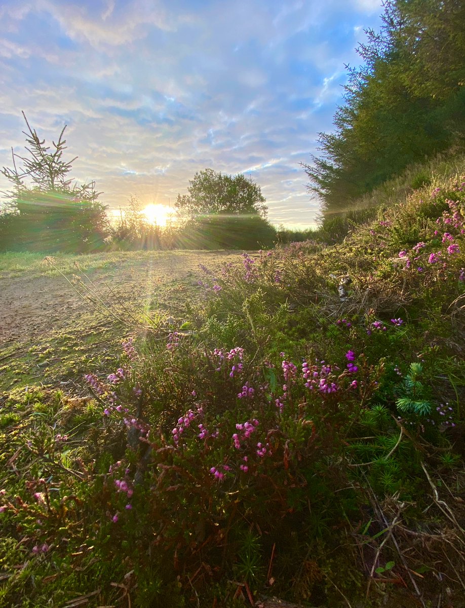 Early morning light. #Scotland