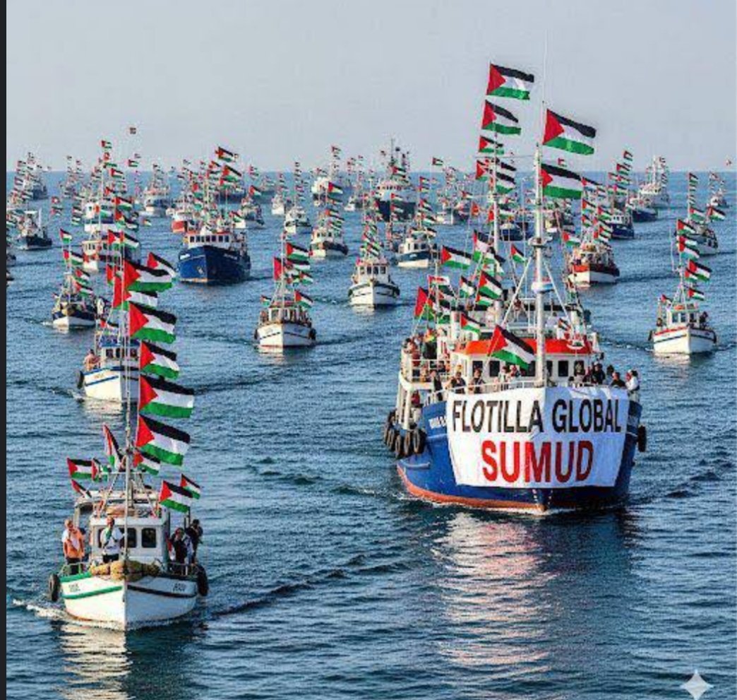 Palestine Daily News✌️🇵🇸✌️ tweet media