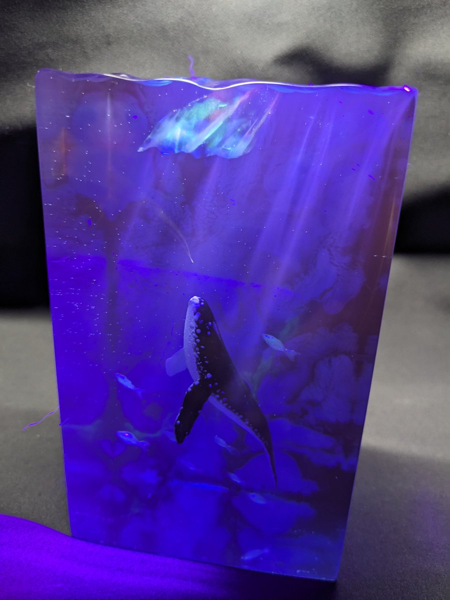 飛ぶ鯨 マッコウクジラ - Search / X