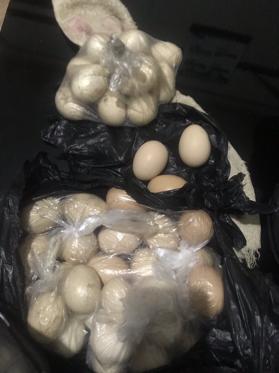 Sometimes back I did health education in the community  and people gave me more than 50 eggs

Proud to be a Health Inspector 

During HE.                     The eggs