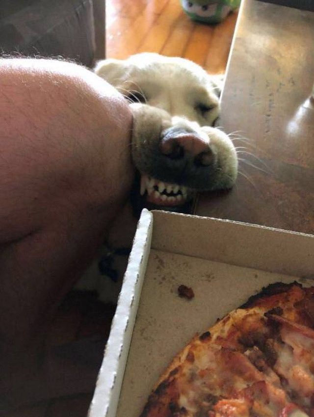 "I see that you have pizza. I too, enjoy pizza"
