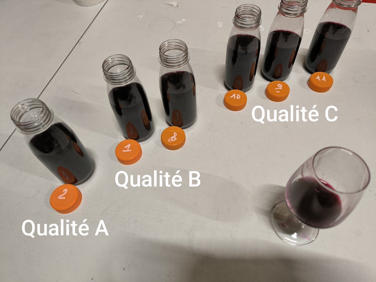 #Bordeaux  #SaintEmilion
Dégustation des cuves et plan d'écoulage du #millesime2025
Des couleurs soutenues, des arômes de fruits noirs dominants et de beaux équilibres de bouche, avec des niveaux de structures et des styles propres à chaqu'une des qualités A-B-C