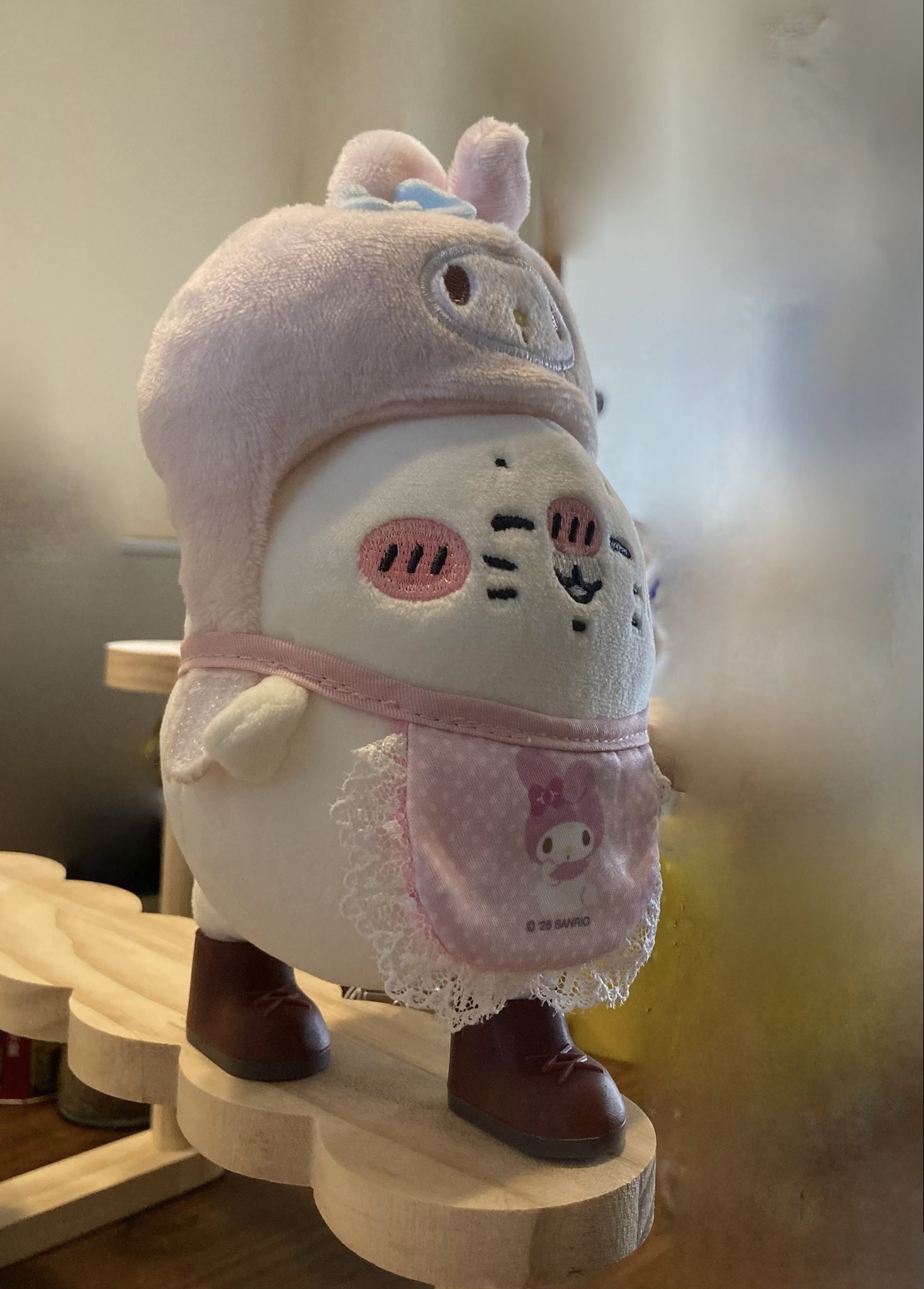 わたしの部屋で暮らすうさぎ🐰わたうさ on X: 