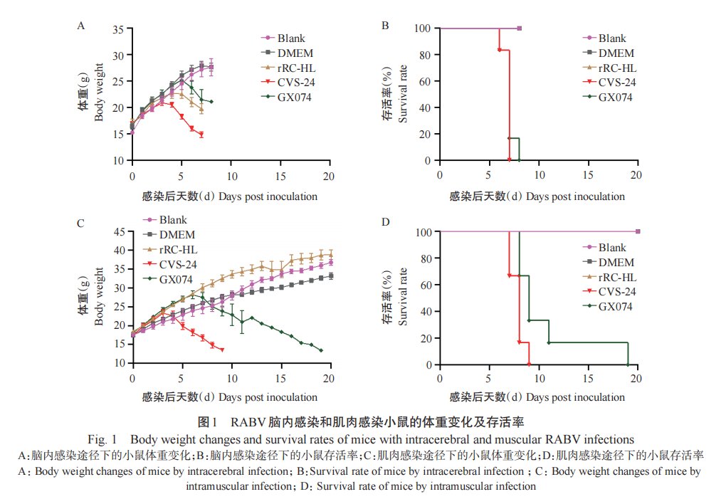 JSA_Journal's tweet photo. 'Effects of virulence and infection routes of rabies viruses on pathogenicity in mice' an article on #ScienceOpen: https://t.co/C3ZbGNUXpB https://t.co/gNu6ZTne2y