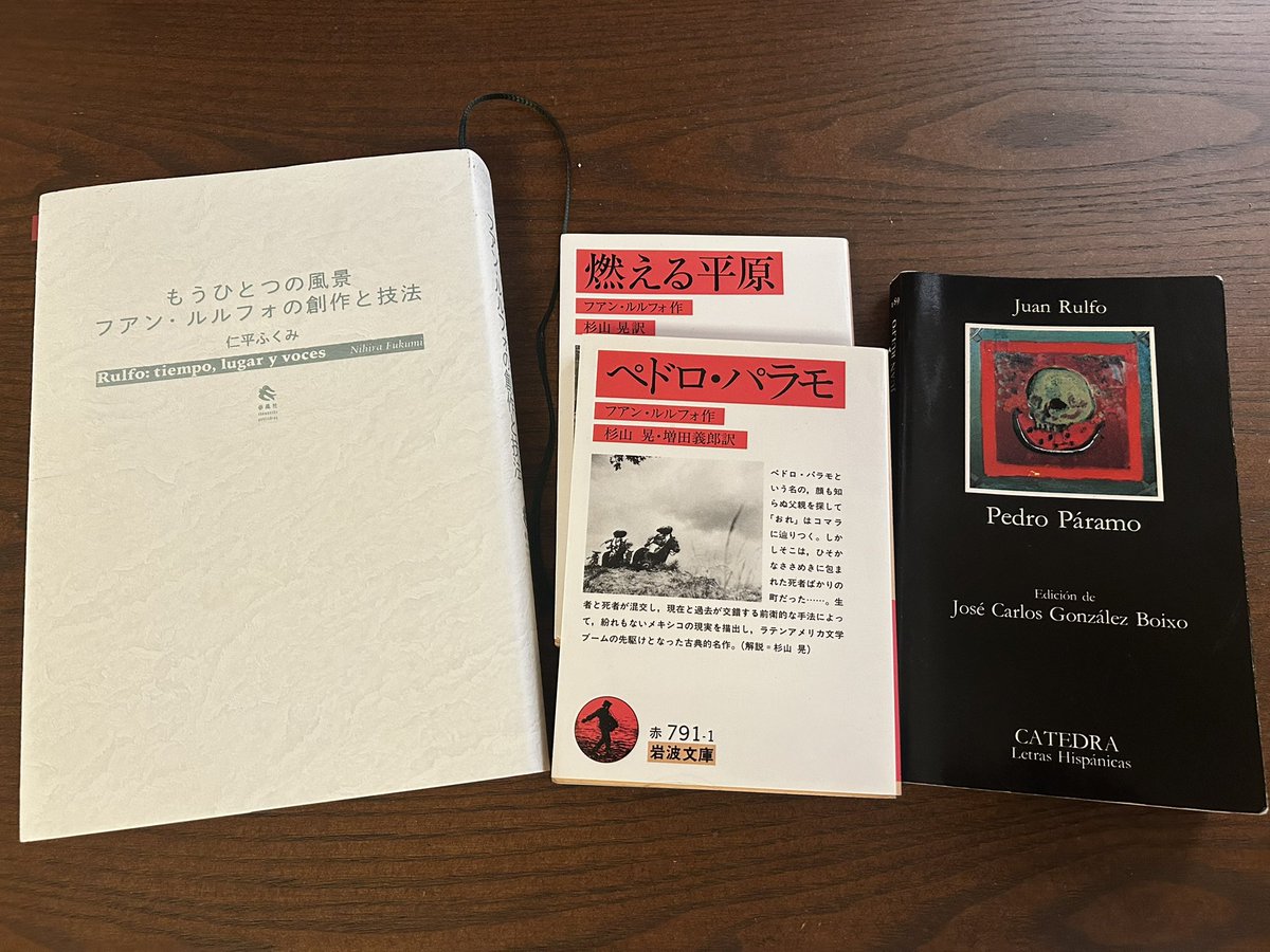 来週から始まる『ペドロ・パラモ』講読の授業、とても楽しみ。読み直すほど複雑だけれど面白い。準備をしながら、最後の場面の「あっちへ行くさVoy para allá」の意味などを考える。