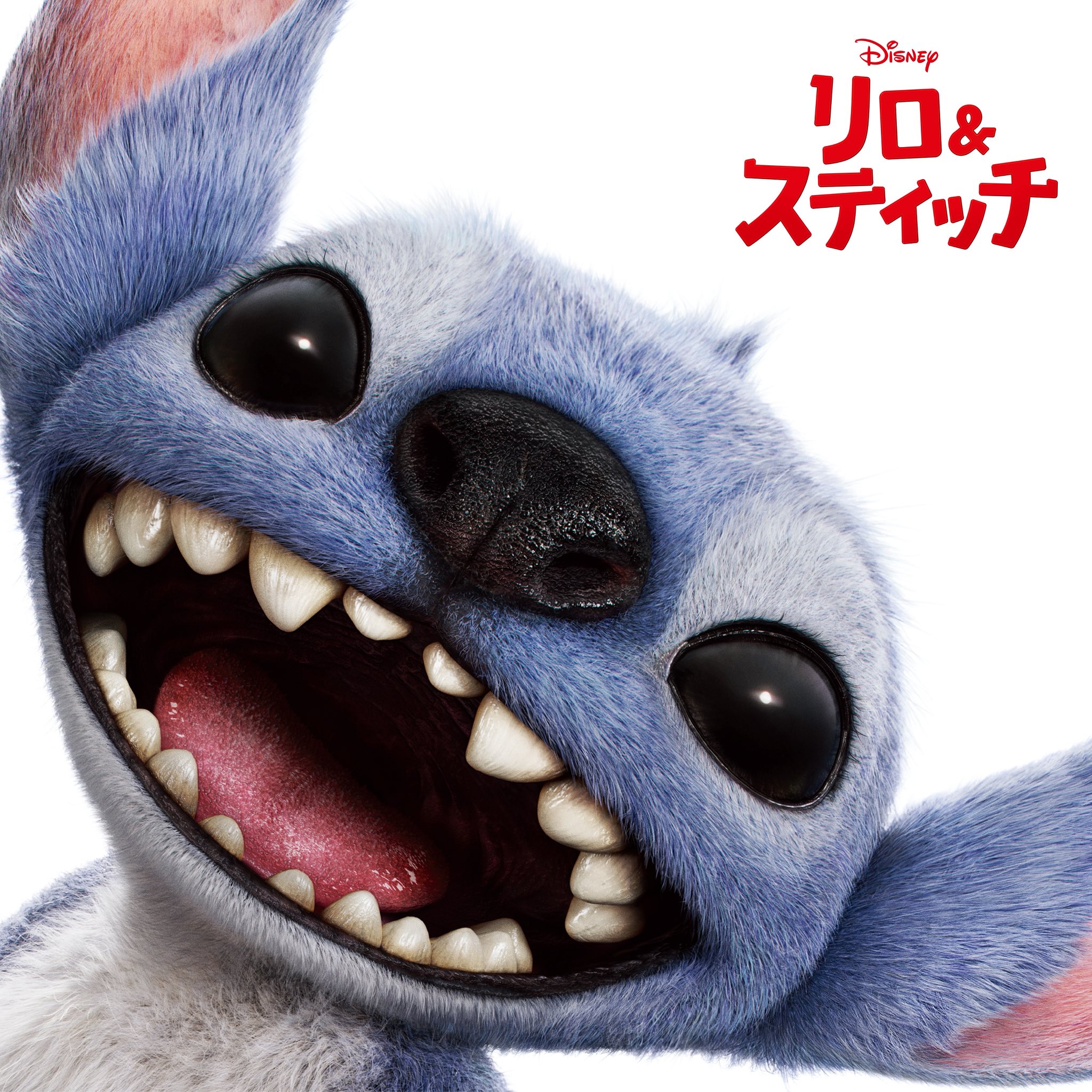 ■■激レア！超美品！芸達者 劇トラ杢　ディストーション! Send&Return Z/X -Zillions of enemy X- アイドル♪スプラッシュフェスタ
