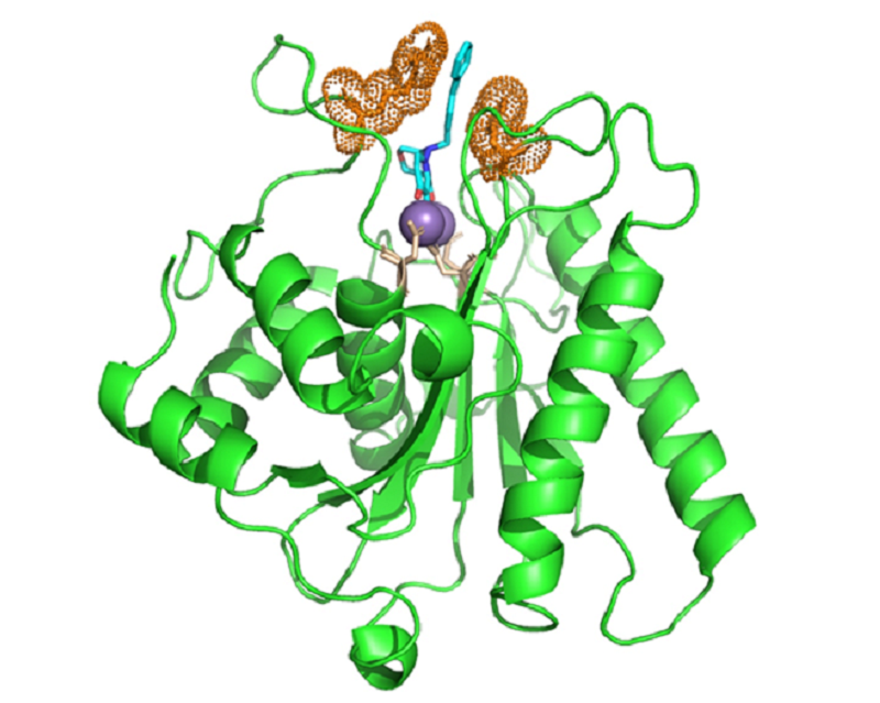 🔬 El <a href="/CBM_CSIC_UAM/">Centro de Biología Molecular Severo Ochoa</a> halla un nuevo antiviral frente al herpes simple que vence la resistencia a los tratamientos actuales

💊 Aún en fase experimental, se basa en un antigripal en uso y ataca un proceso clave de la propagación del virus en el organismo

👉 tiny.cc/g81t001