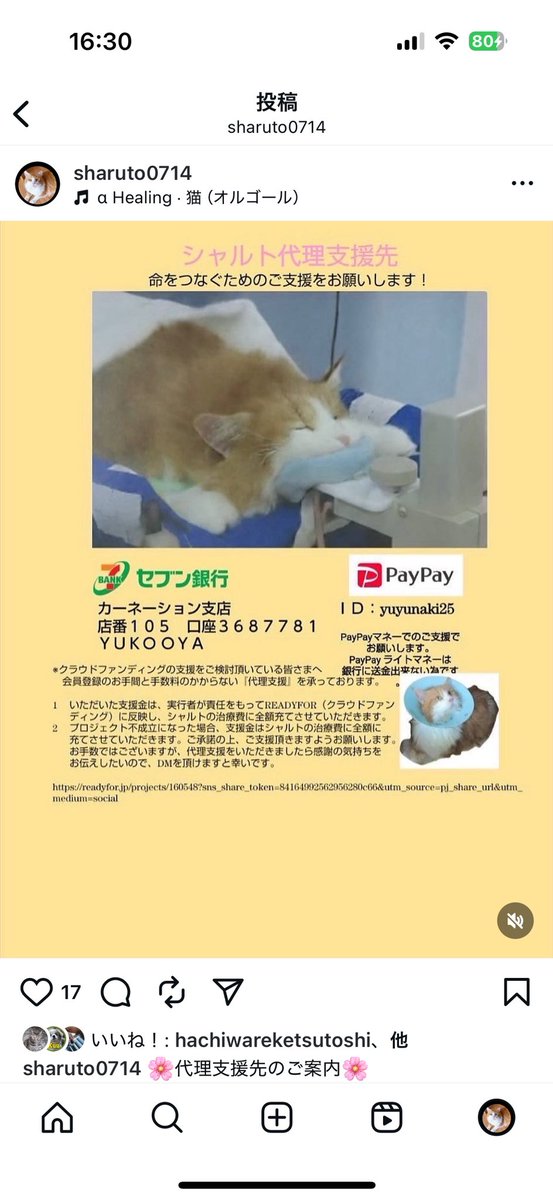 レイ♩即購入OK♡11/10発送ページ PayPay%E9%8A%80%E8%A1%8C - Search / X