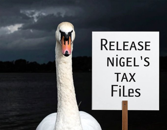 Tipton21's tweet image. 