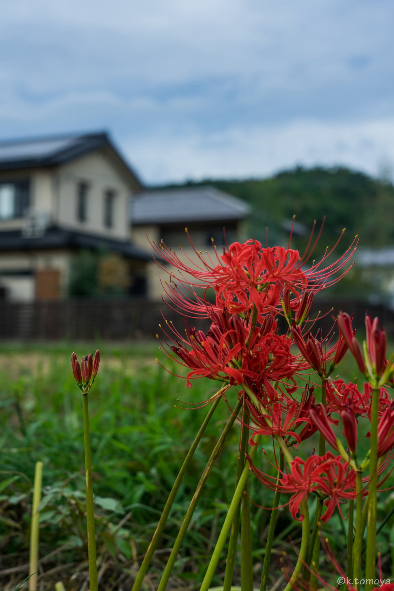 konini_t@α7III最高ぉぉぉぉぉ！！！ on X: 