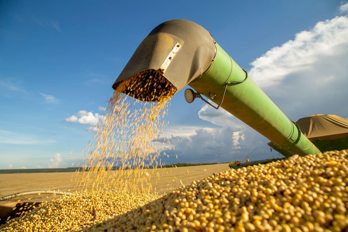 Vuelven las retenciones a los niveles previos: en 72 horas el campo agotó el cupo de US$7.000 millones de liquidación al 0% previsto por el Gobierno

El programa de retención 0% era hasta el 31/10 o hasta completar los US$7.000 millones