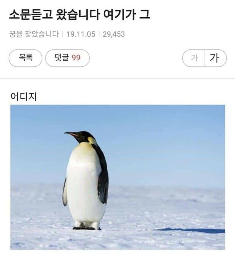 FFB330's tweet photo. 아니 뉴 길터 자리 찾는다고 열심히 채널 헤매다가 자리�� 잡았는데
우리 서있으니까 모르는분이 옆에와서 서시는거임ㅠㅠ
그래서 에메가 돌직구로 무러밧는데(길터시면 비켜드릴라고)
답변 길잃은펭귄같으심ㅁㅊ https://t.co/31aDXA7LUx