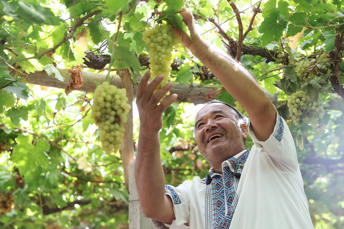 Frontlinestory's tweet image. #FrontlineFocus: 70 Years of Glory - Xinjiang’s New Chapter: Continuous Improvement in People’s Wellbeing✨

2025 marks the 70th anniversary of the #Xinjiang Uygur Autonomous Region. With a people-centered approach, Xinjiang has focused on improving lives, fostering unity, and…