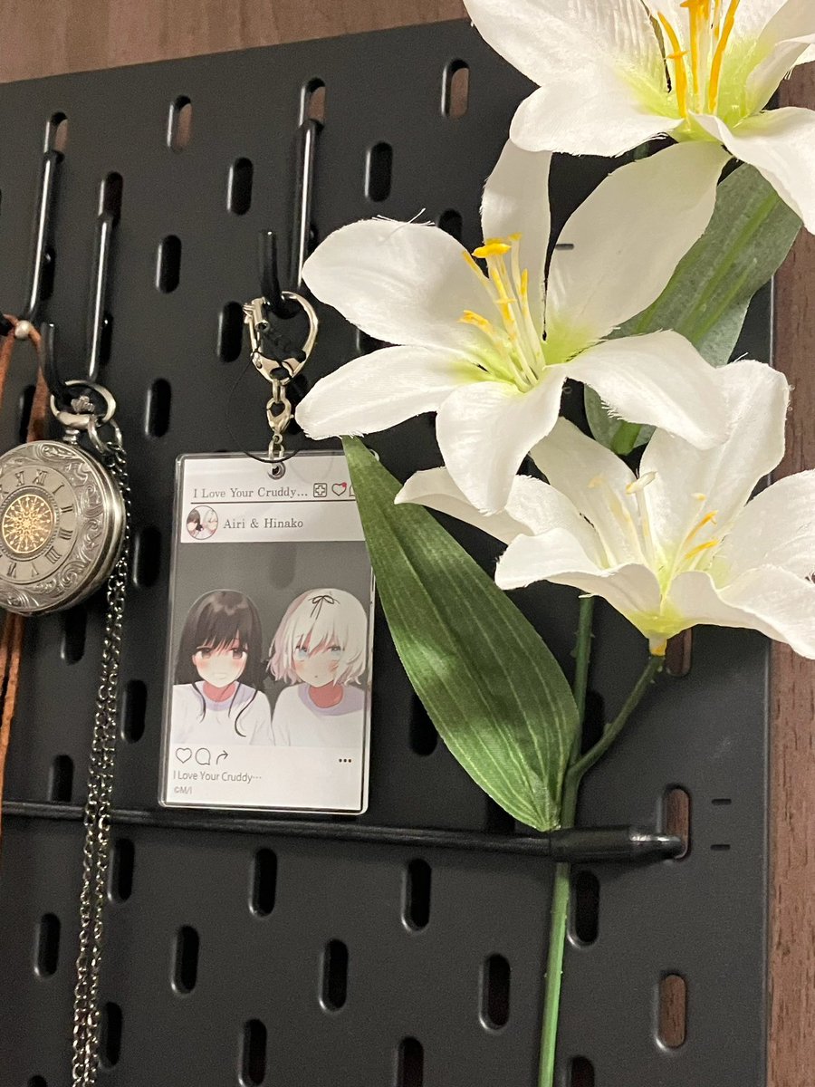きたかわのグッズを見つけて感動したので買った