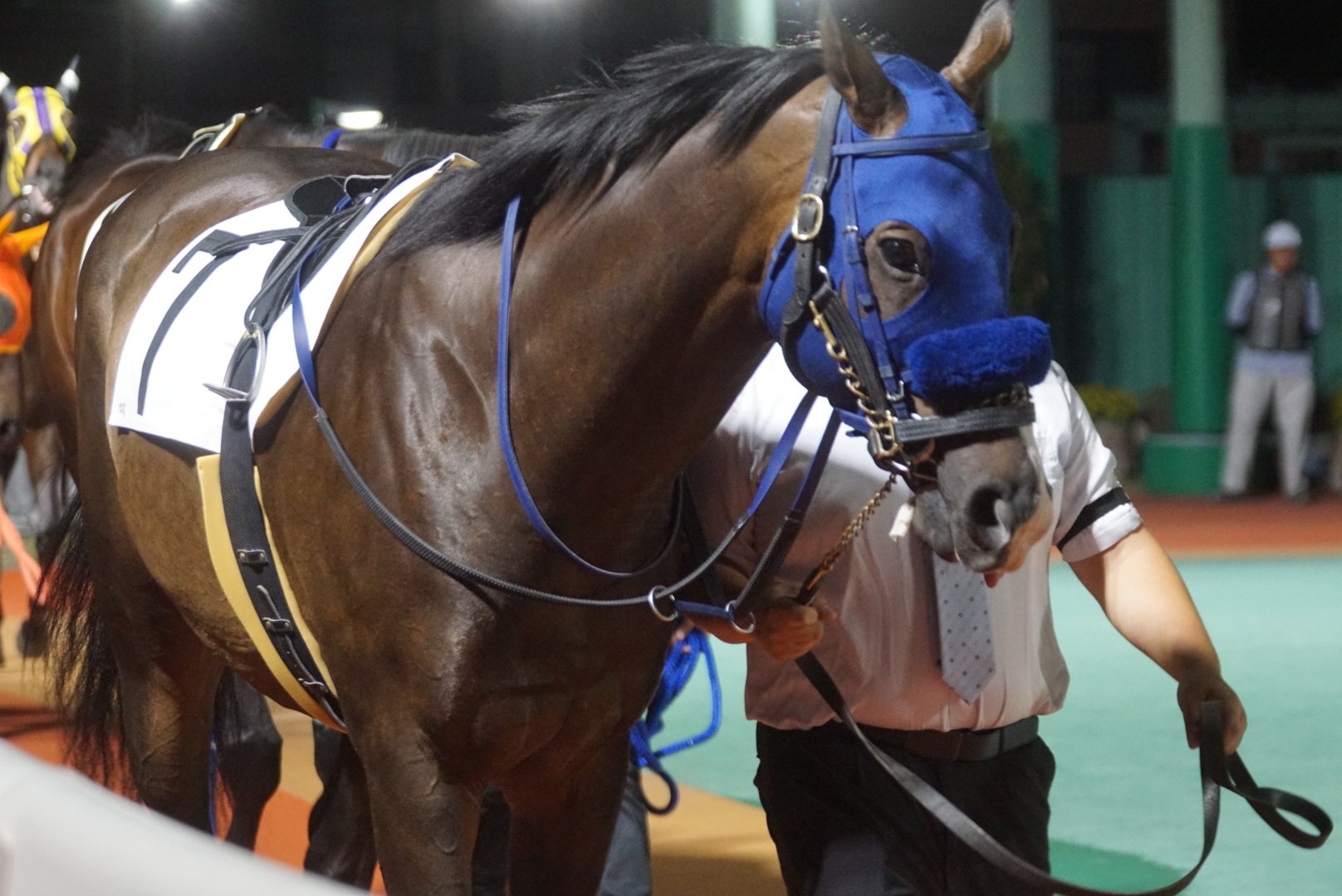 ウマキ様ご連絡ページ maxresdefault.jpg