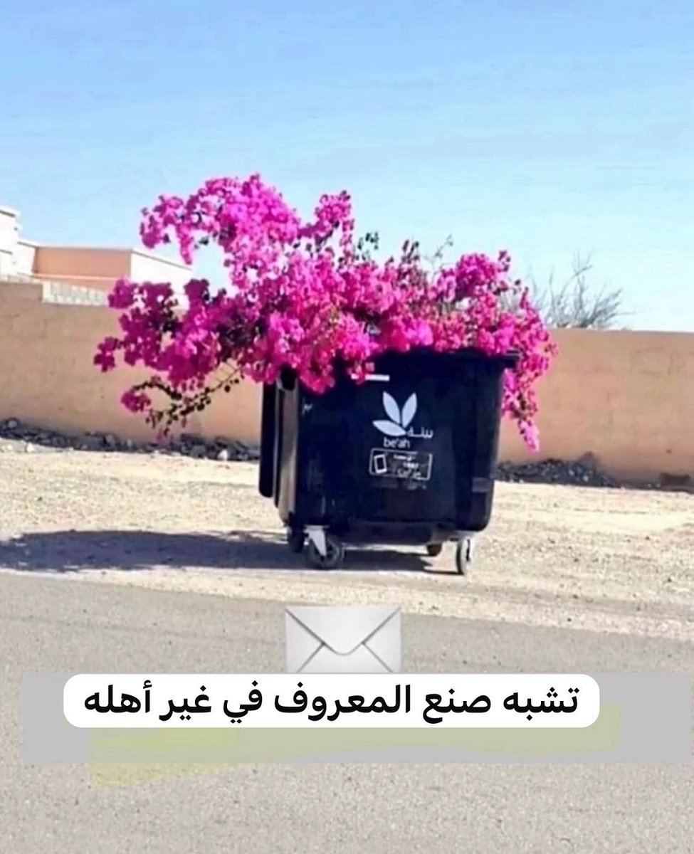 #صورة_معبرة