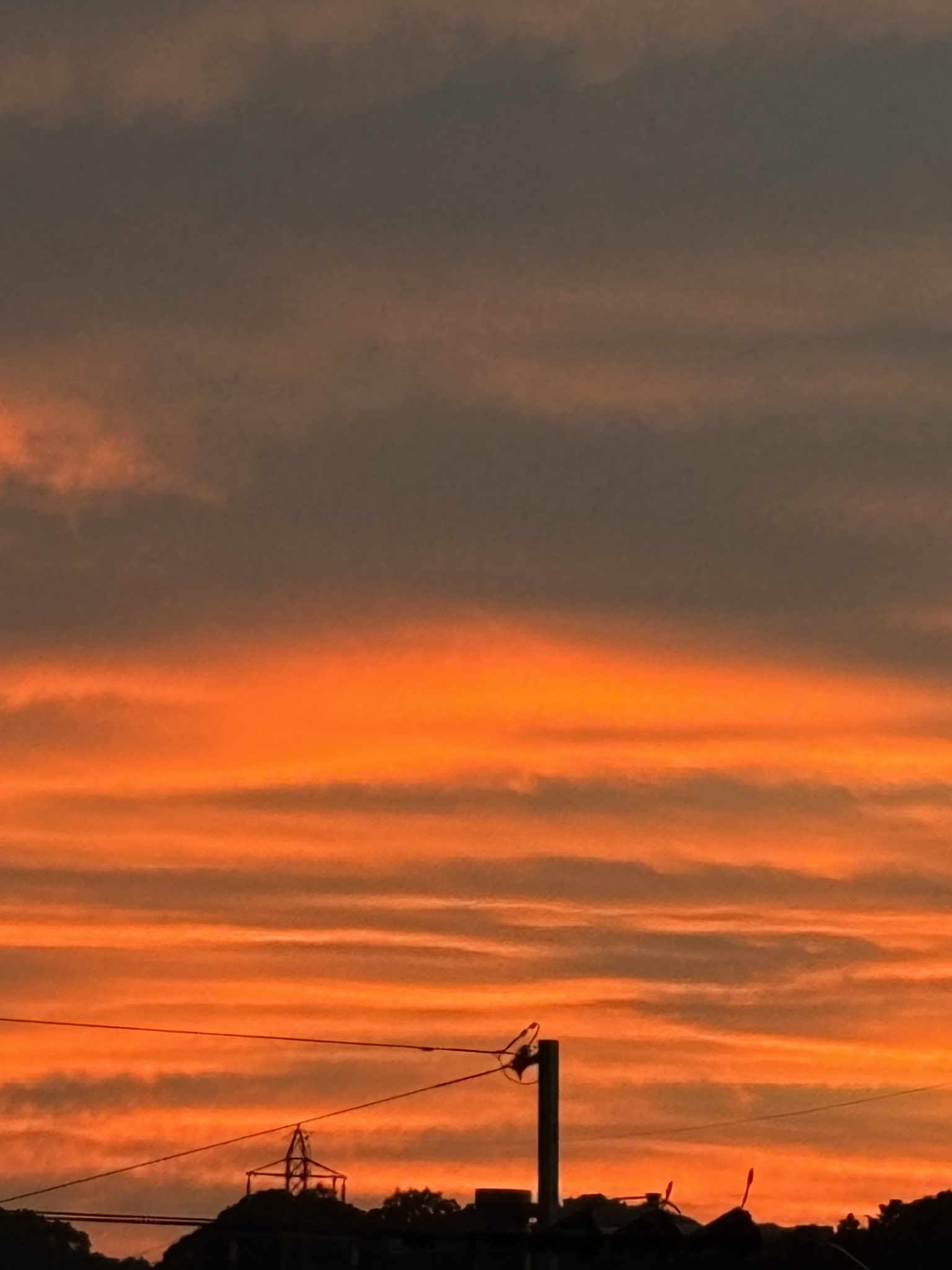 🌙*ﾟ十六夜よざと 📚☡✍🏻 on X: 