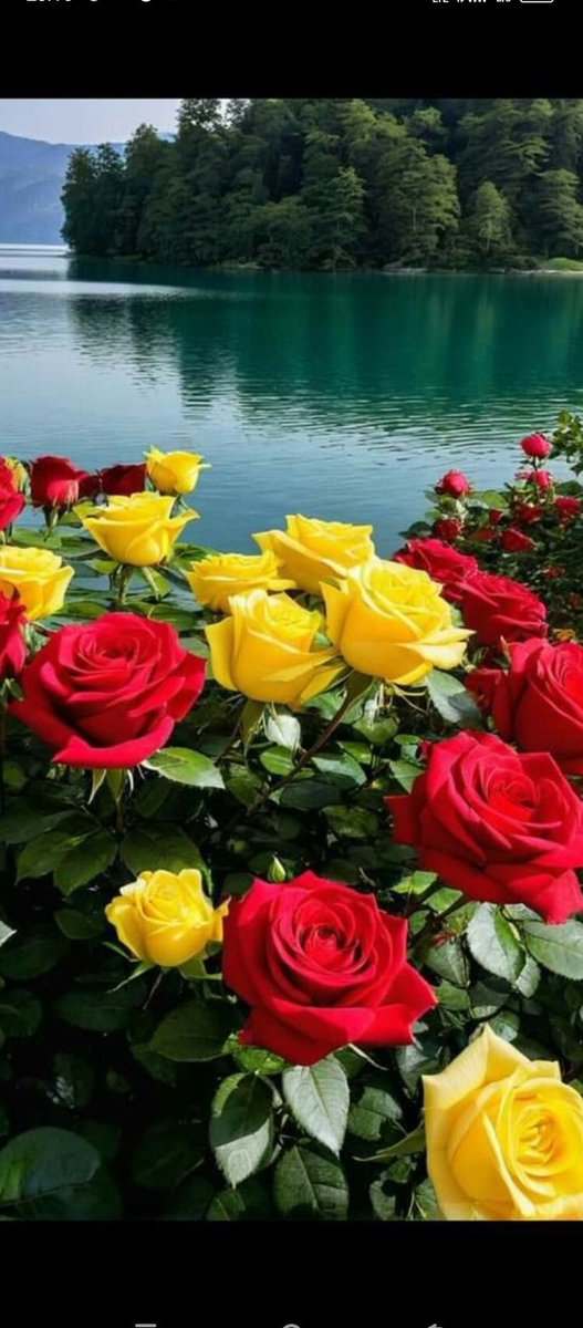 Querido <a href="/RAPHAELartista/">𝗥𝗔𝗣𝗛𝗔𝗘𝗟</a> y tod@s amig@s raphaelistas, muy feliz #DiaRaphaelista . Que lo pasamos escuchando canciones de nuestro adorado Artista.