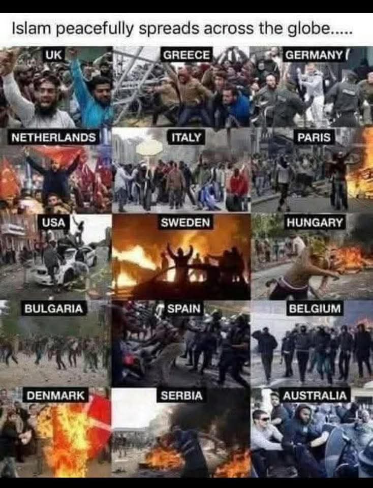 Enigma Monkey tweet media