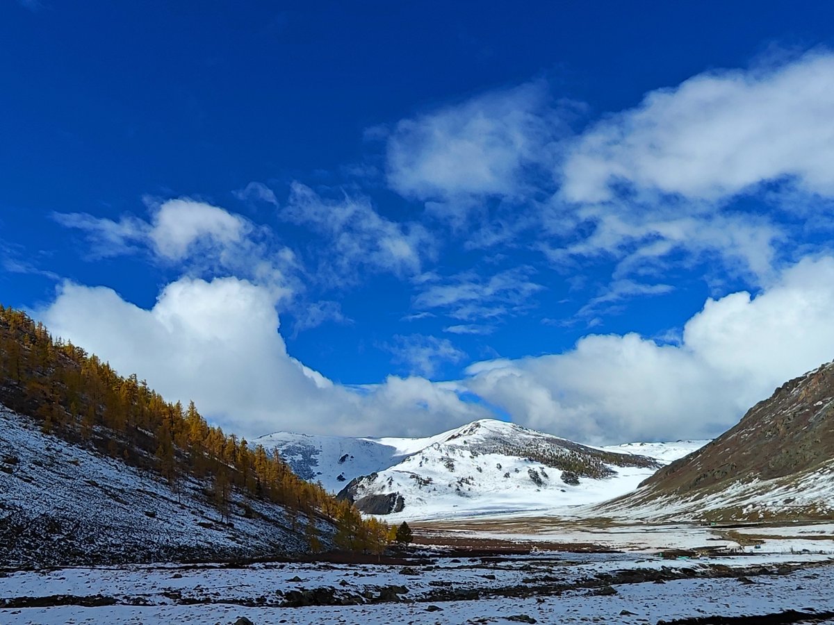 🌄Off-Grid Power at the Border
In Altay, northwest China, our off-grid inverter chargers keep monitoring equipment running 24/7, even through freezing winters and harsh weather.
Clean energy brings reliable power to some of the most remote places on Earth.
#EPEVER #SolarEnergy