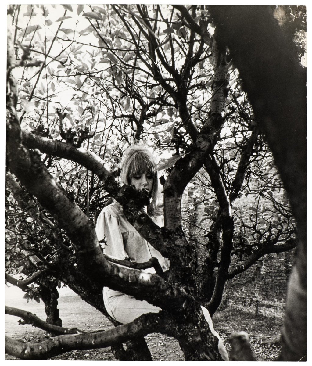 groovyboyd's tweet image. Pattie Boyd in the garden at Kinfauns, 1964.
📸 by George Harrison
