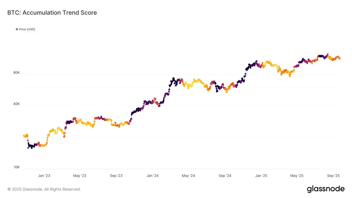 ⛓️💥GLASSNODE: "Indebolimento del Punteggio di Accumulo del Bitcoin: Mercato Vulnerabile a Eccesso di Offerta"