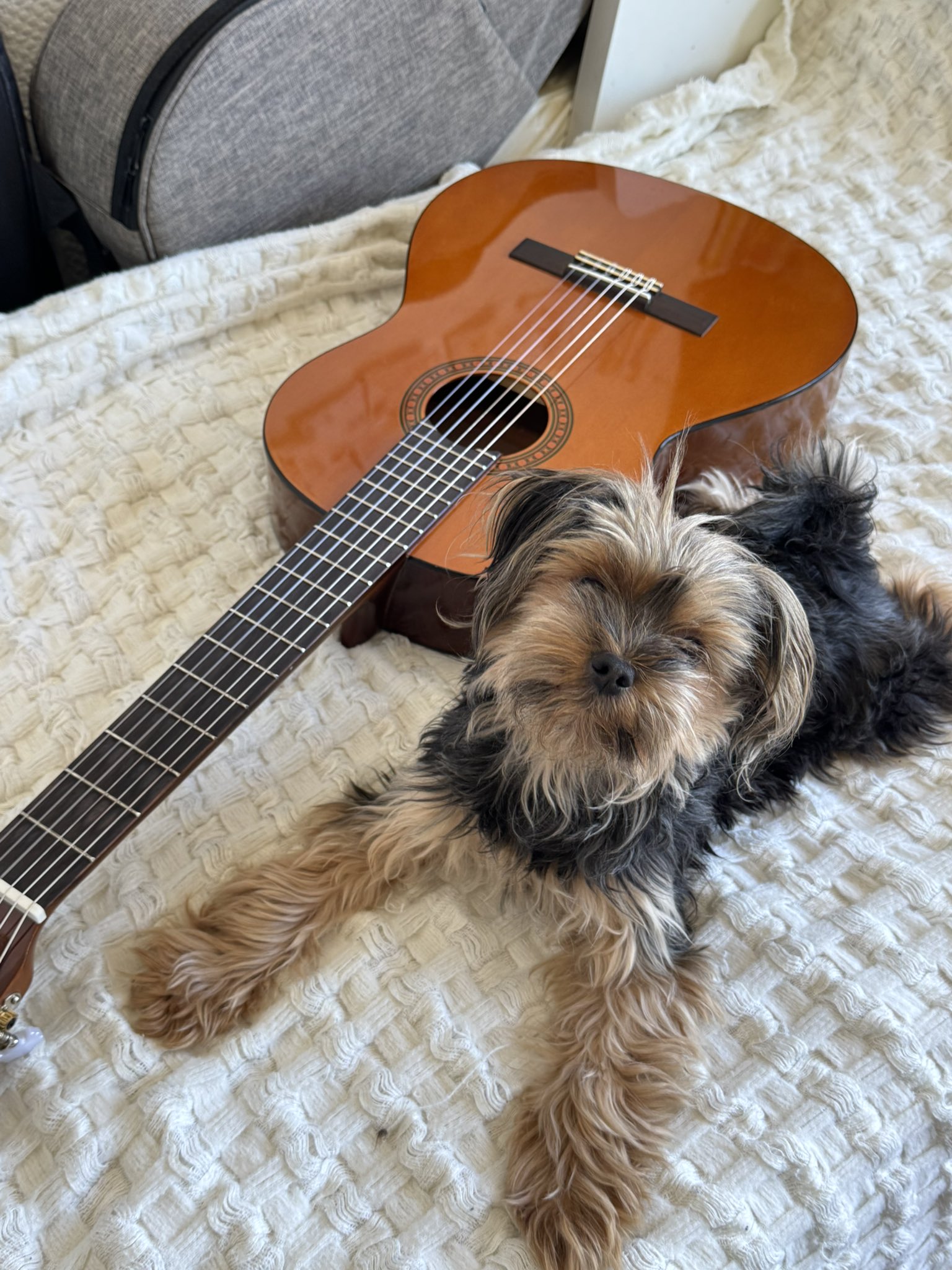 SOLD OUT ☆パリの雑貨とファッション  とのまりこ SOLD OUT ☆パリの雑貨とファッション とのまりこ SOLD OUT ☆パリの