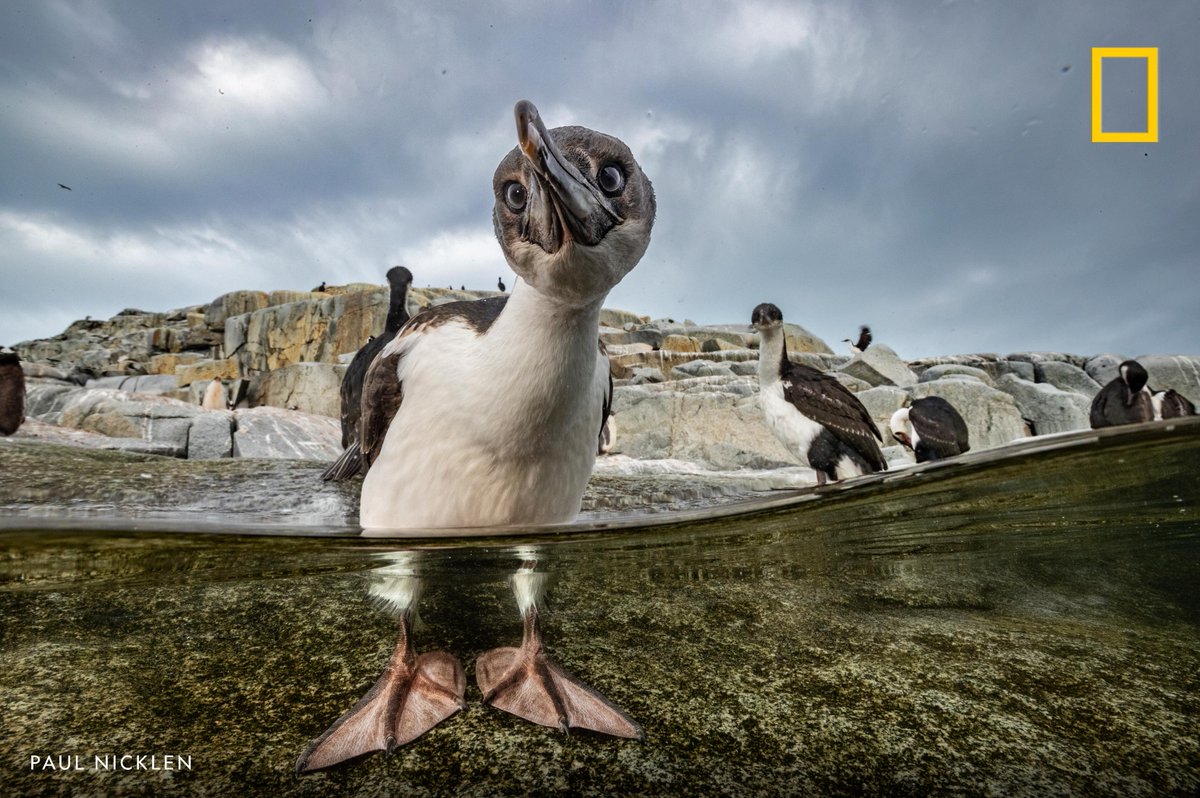 sksahabkhan's tweet image. 