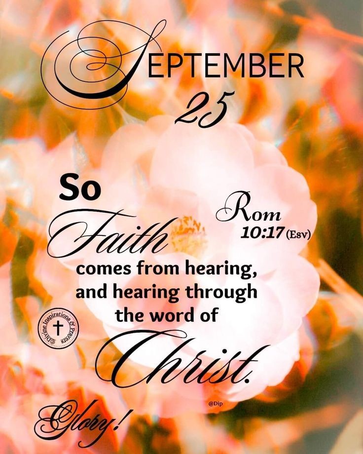 4showuright's tweet photo. It's Thankful Thursday, Bel💖ved of God✝️👑🕊📖⛪️⚘️
#HaveFaithiNGod
🙏🏿🙏🏾🙏🏽🙏🏼🙏🏻🙏🙏 https://t.co/tlTz3XTujG