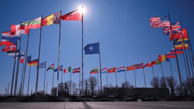 Another departure lounge and another overseas trip to deliver my work. This time NATO HQ, Brussels <a href="/NATO/">NATO</a> <a href="/DefenceHQ/">Ministry of Defence 🇬🇧</a> <a href="/RoyalAirForce/">Royal Air Force</a> <a href="/kimsurman/">Kim Surman</a> #BattleofBritain #BattleofFrance