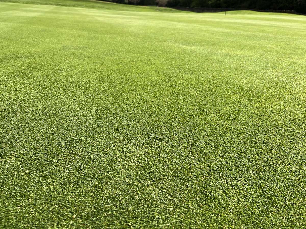 AlexHawkesOAS's tweet image. I have worked with this Golf Course Manager for 4 years now. What a job he is doing #originamenitysolutions