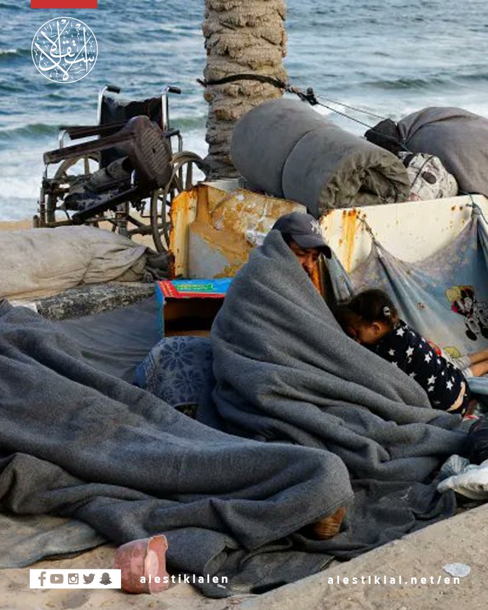 alestiklalen's tweet image. Exhausted and displaced — Palestinians rest after fleeing northern Gaza for the centre of the enclave.

#Gaza #Palestine #Displacement