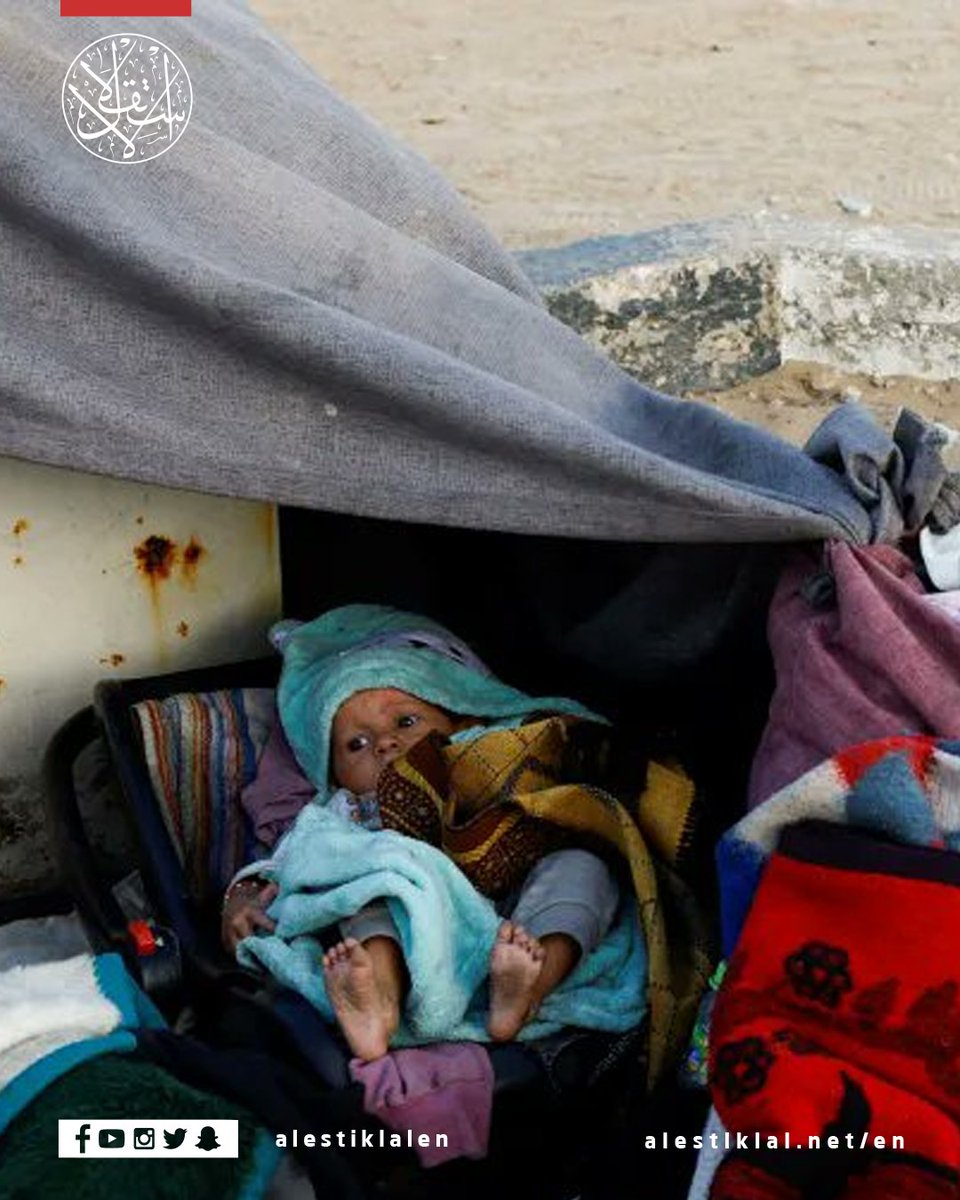 alestiklalen's tweet image. Exhausted and displaced — Palestinians rest after fleeing northern Gaza for the centre of the enclave.

#Gaza #Palestine #Displacement