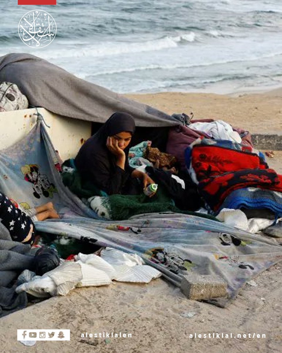 alestiklalen's tweet image. Exhausted and displaced — Palestinians rest after fleeing northern Gaza for the centre of the enclave.

#Gaza #Palestine #Displacement