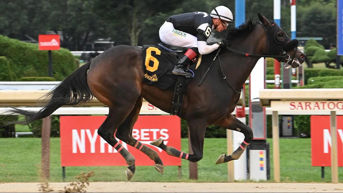 AdelphiClub's tweet image. Debut winner Gratefully returns to the races today at The Big A (race #3). Good luck to all her partners 🙏🏻
@FalconeJr trains and @DavisJockey rides 💪🏻